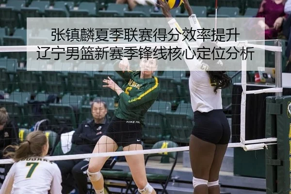 张镇麟夏季联赛得分效率提升 辽宁男篮新赛季锋线核心定位分析